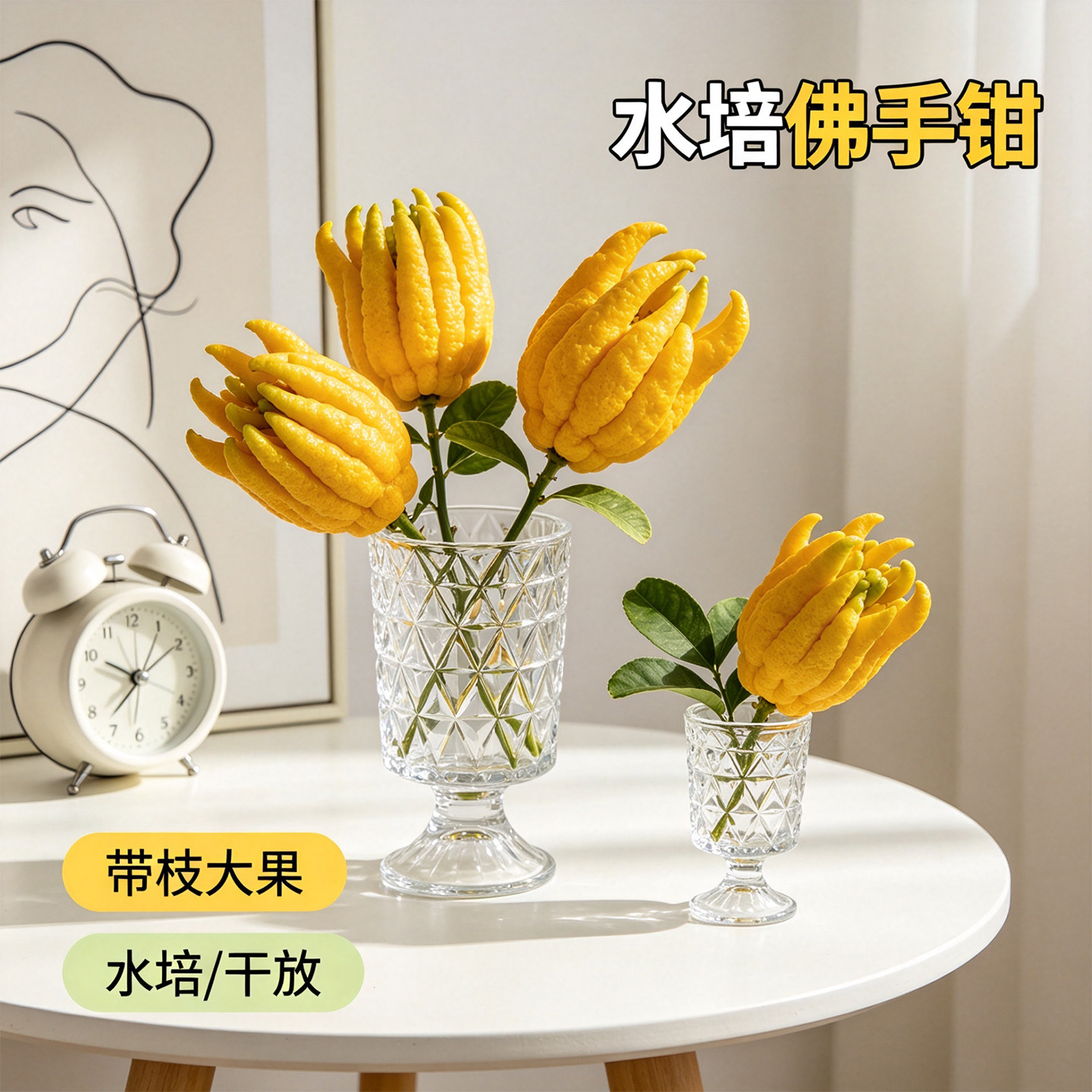 佛手柑带枝水培水果直发招财植物佛手果金佛手鲜果办公室内佛手柑