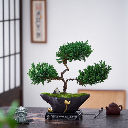 三层塔松盆栽迎客松绿植