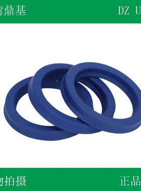 台湾DZ进口UN油封170*200*18/215/176/205/190/210/193/195密封件