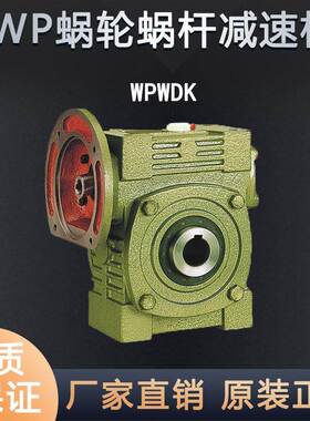 WPWDK70 80 100蜗轮蜗杆减速机铁壳立式带法兰减速齿轮箱变速器