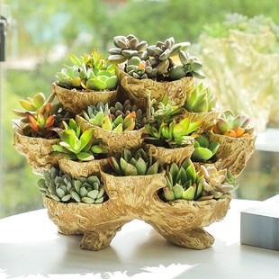 大号十二口多肉植物花盆复古仿木头根雕肉肉盆大口径花架玄关盆景