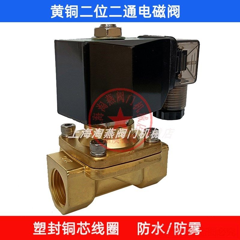 黄铜电磁阀水阀220V/24V 防水线圈DN15 DN20 DN25 DN32 DN40 DN50