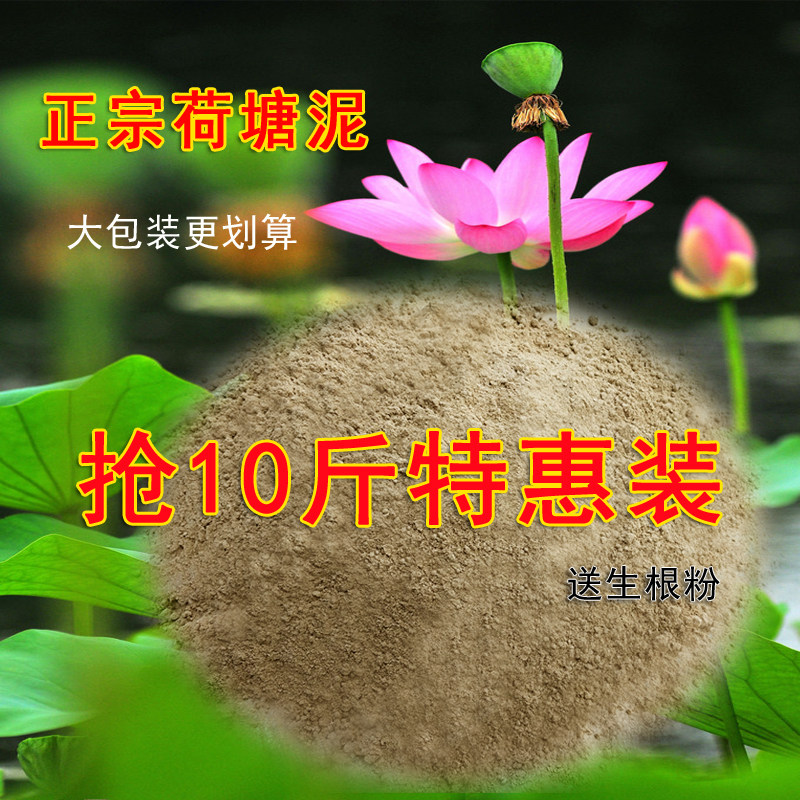 荷塘泥睡莲碗莲专用土包邮荷花泥淤泥河泥水生植物营养泥巴河泥土
