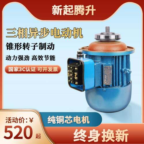 ZD系列锥形转子三相异步CD型电动葫芦南京特种总厂江陵主起升电机