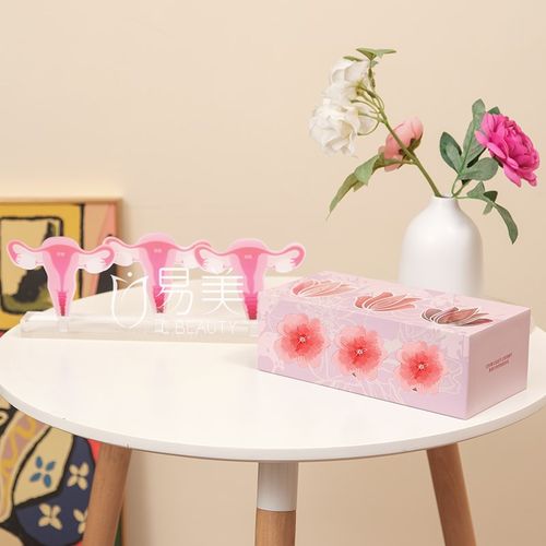 女性一探究竟子宫变迁模型指尖密境青春悄逝月子会所摆件沙龙布置