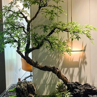 精品彷真绿植青枫树装p饰大型商场室内外造景枯树软装景观茶室套