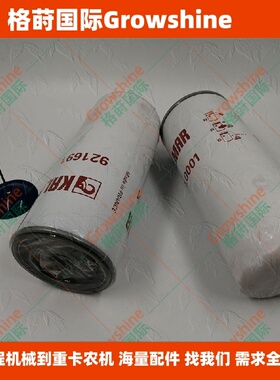 格莳国际滤芯921691.0001，9216910001，P554004，478736