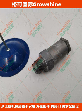 电控共轨发动机限压阀泄压阀3963908