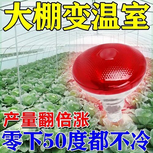 大棚升温灯植物防寒防冻蔬菜火龙果草莓花卉仿P太阳光增温取暖省