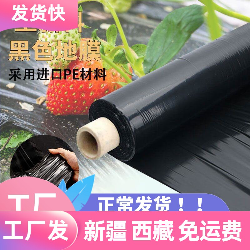 新疆西藏包邮黑地膜农用种植加厚抗老化塑料M薄膜除草保温保湿防
