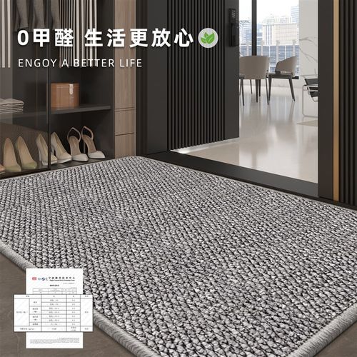 2025新款入户门地垫高级地毯现代简约门垫进门家用玄关客厅脚垫