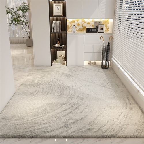 入户门地垫2024新款可裁剪家用地毯客厅简约门垫进门玄关脚垫防滑