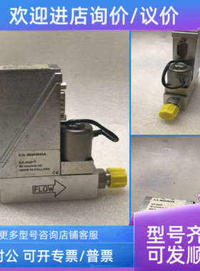议价Bronkhorst AIX-002F 50mln/min H2 S.N.98203543A 流量计