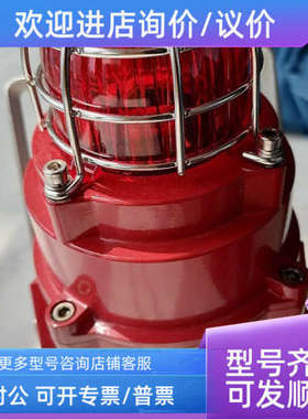 议价声光报警器e2s BEXCS110-05D-P信号灯船用ATEX认证