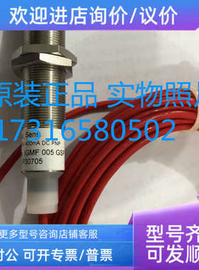 议价 EGE高温传感器 IGMF 005 GSP