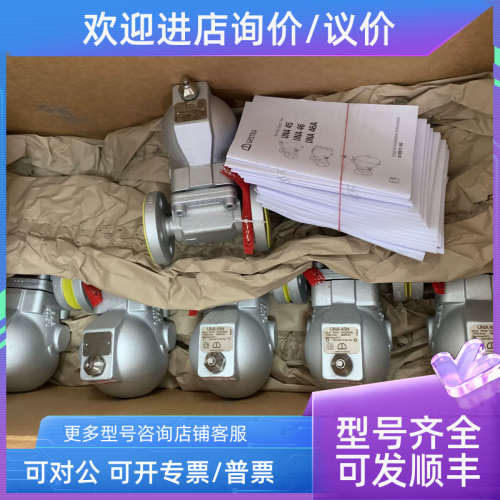 议价GESTRA液位控制器NRS1-40B