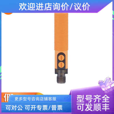议价IFM 款易福门安全继电器 IIT231 IIW200 IL5003 IM5124 IM512