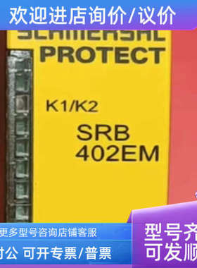 议价安全继电器 SRB402EM  101170840
