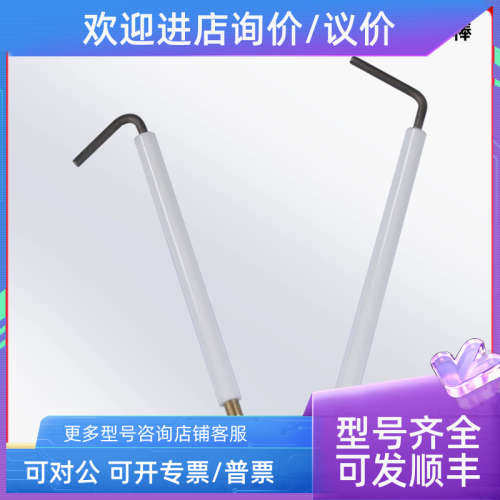 议价威索WG40N/1-C WG30N/1-C WG20N/10N电极点针离子探针离子棒