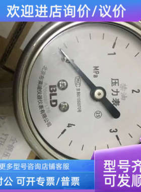 议价BRIGHTY北京布莱迪BLD全钢充油耐震压力表YTHN-63.ZT