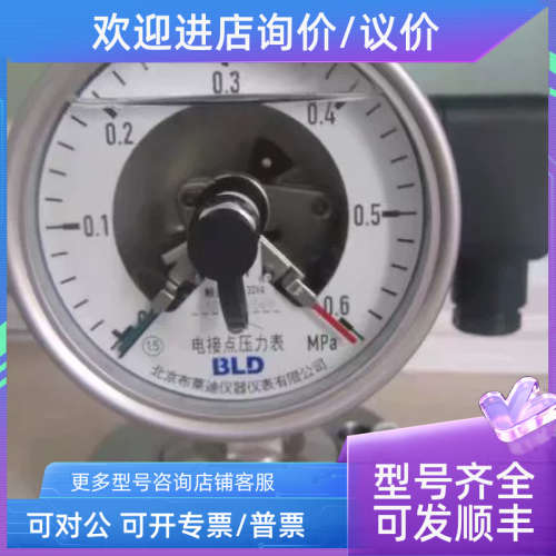 议价YX-60.AO北京布莱迪BLD普通电接点表BRIGHTYYX-60.AO