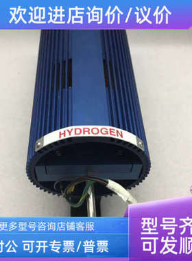 议价SAES GETTERS PS4MT3H2  GAS:H   FLOW: 15.0L/M