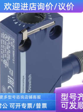 议价LB1-LB03P050.63-1ASQUARE D