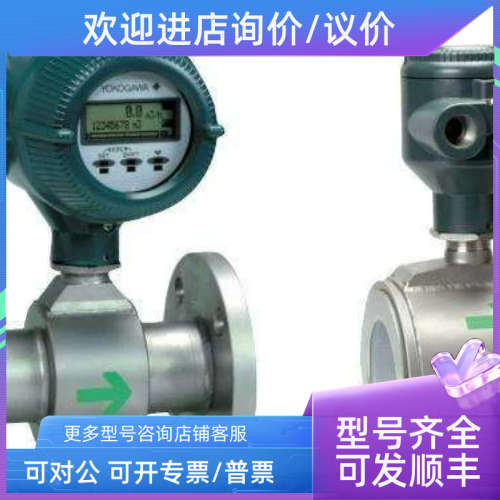 议价AXF250G-D1AL1S-AA11-01B/AXF250G-E1AL1S-BA11-01B电磁流量