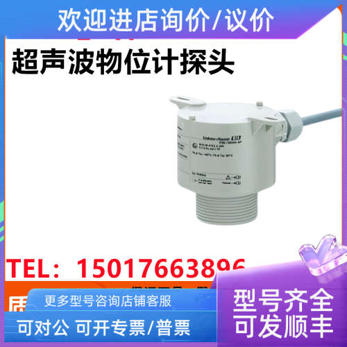 议价E+H声波物位计探头FDU90-RG1AA  FDU91-RG2AA