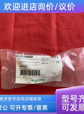 议价DL2EKB8SB橙色亮24ADC闪光LED灯泡发光二极管指示灯