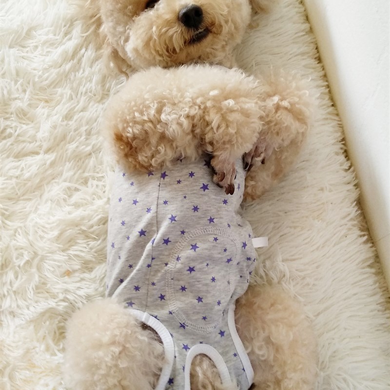 母狗狗全包肚子四脚衣服防公狗乱尿猫狗绝育手术服断奶服薄款