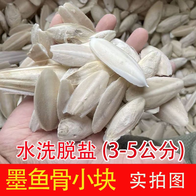 海螵蛸小墨鱼骨乌贼骨 海蛸 鸟