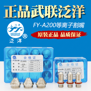泛洋FY200A等离子割嘴切割机配件数控水冷割枪电极喷嘴喷咀保护罩