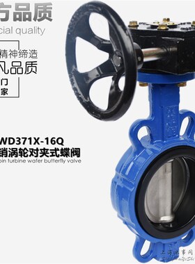 D371X-16无销涡轮对夹式蝶阀DN50 65 80 100 125 150 200 250 300