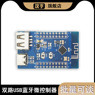 CH582M开发板 双路USB蓝牙5.3 RF2.4G微控制器USB控制器和收发器