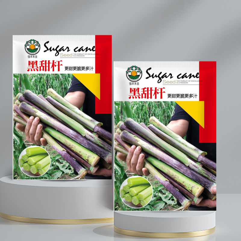 黑甜杆种籽甘蔗种子高粱种正品高糖四季播种南北方小甘蔗黑穗水果