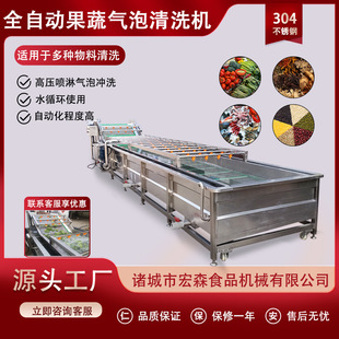 商用連續(xù)式 黑松露清洗機(jī)野生菌山野菜氣泡清洗機(jī)夏威夷果清洗機(jī)