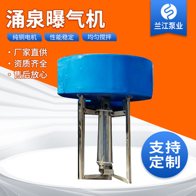 【兰江】潜水式涌泉曝气机增氧增流水下推流式曝气设备304不锈钢