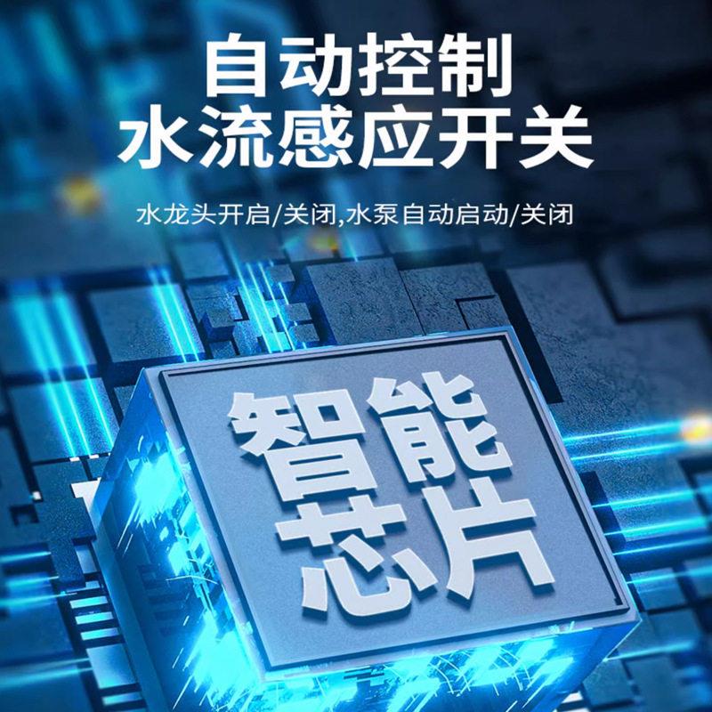 2阳4V能 直流压泵 永磁家用水泵