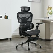 体工学椅电脑椅办公椅舒适久坐电竞椅躺书房座椅