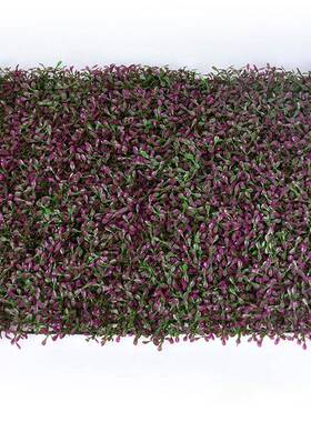 仿真树枝室内修饰道具塑料叶绿色紫色花生草工程造景植物墙