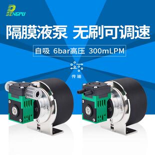 抽水泵微小型隔膜液泵12V可调速自吸24V无刷气液两用泵高压水泵