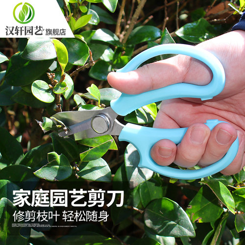 花艺园艺剪刀 宽头家用 花剪鲜花花道剪花枝树枝修花修枝工具
