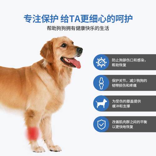 跨境宠物狗小腿超踝固定带踝骨支具足踝支具护踝下肢脚踝固定