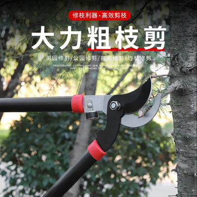 长柄修枝剪树枝剪刀园艺大剪果树修枝修剪树枝园林剪刀粗枝剪
