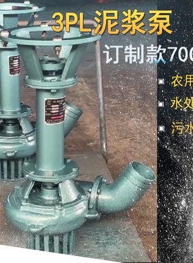 6PL-220A绞浆式泥浆泵污水污泥抽排工地农用灌溉4寸可按尺寸加工
