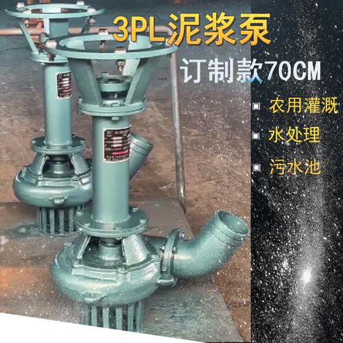 6PL-220A绞浆式泥浆泵污水污泥抽排工地农用灌溉4寸可按尺寸加工
