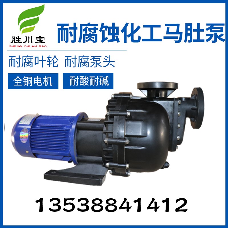 CD40012 075KW4KW铁氟龙自吸泵耐酸碱大头泵耐腐蚀化工马肚泵