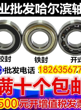 HRB 6305 2Z  Z 80305 哈尔滨深沟球轴承Z 内径25mm 外径62mm