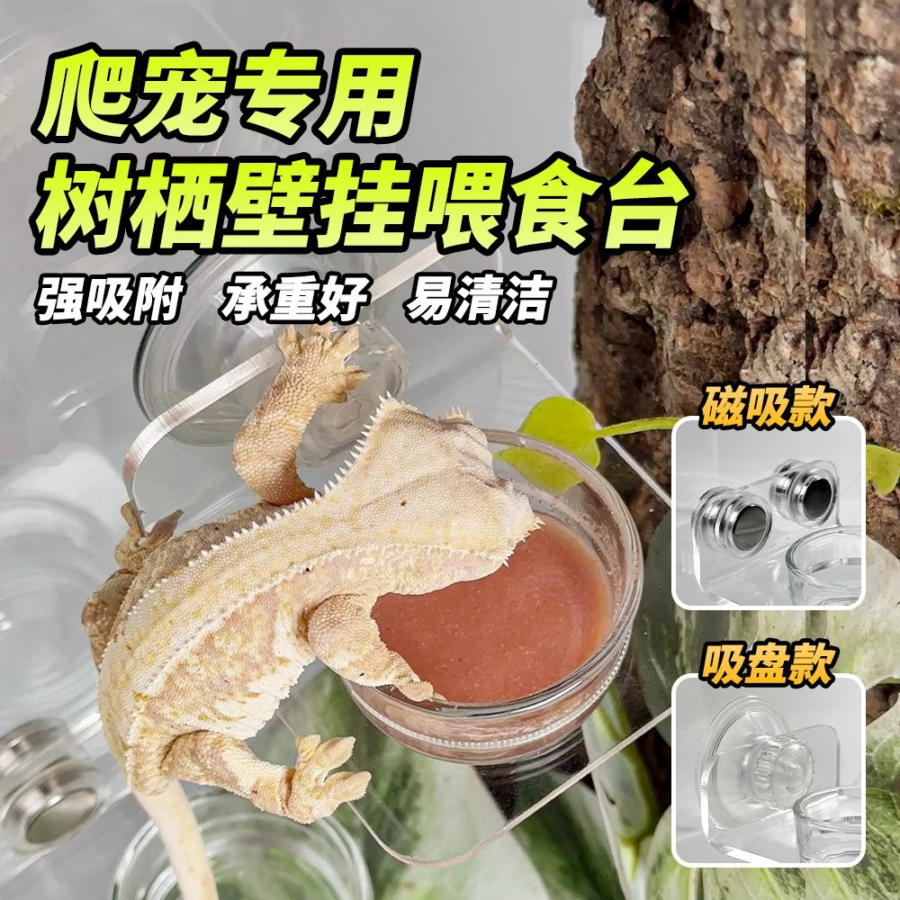 守宫食盆水盆树栖爬宠R属睫角专用喂食台悬挂磁吸附亚克力透明碗,宠物/宠物食品及用品,爬宠清洁及日用品,淘宝优惠券,粉丝福利购,淘宝优惠卷